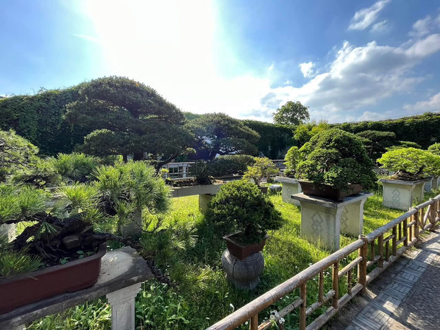 🌸 Lingering Garden 留园 — Grace, Balance & Jiangnan Beauty