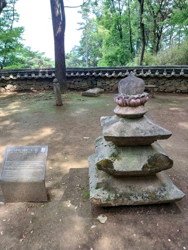 시원한 풍경의 선암사