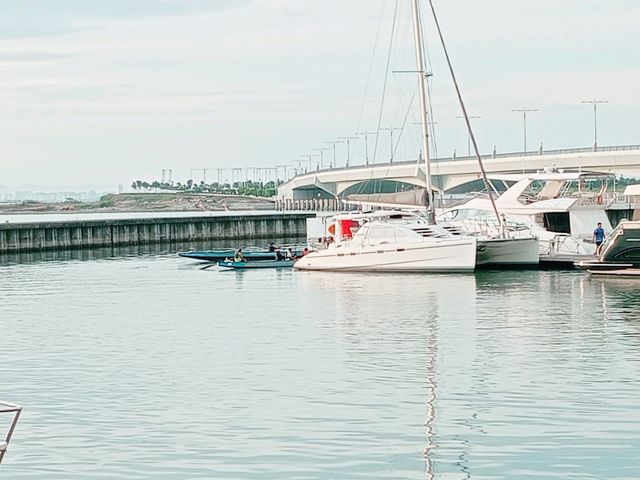 Chorus by the quay