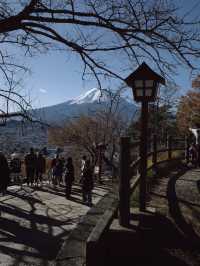 Chureito Pagoda x Mt. Fuji