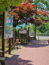 惠那峽展望台旁，品嚐婆婆爺爺的溫暖味道〔三陸屋五平餅〕🍢⛰️