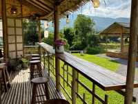 Ai Nara Cafe: Super Chill in a Chiang Mai Valley! ☕🐕🌿