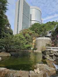 Hong Kong Park, Urban Oasis in the Heart of the City