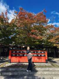 【京都】願いが届く神社！？芸能人も通う京都の最強パワースポット⛩✨