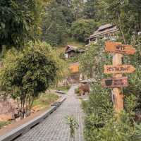 คาเฟ่ธรรมชาติ ขับรถแค่1ชมจากตัวเมือง