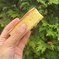 地元民もだいすき！お土産におすすめスイーツ