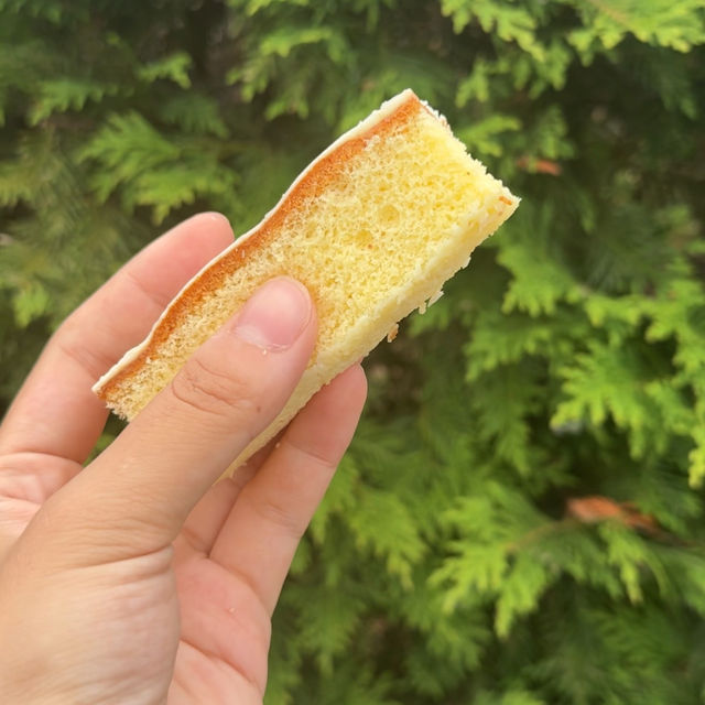 地元民もだいすき！お土産におすすめスイーツ