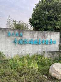 ｜台灣｜台中帝國製糖廠台中營業所+湧泉公園-舊時光與綠意的完美交織