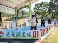 走馬瀨農場全攻略｜餵羊、露營、滑草一次滿足