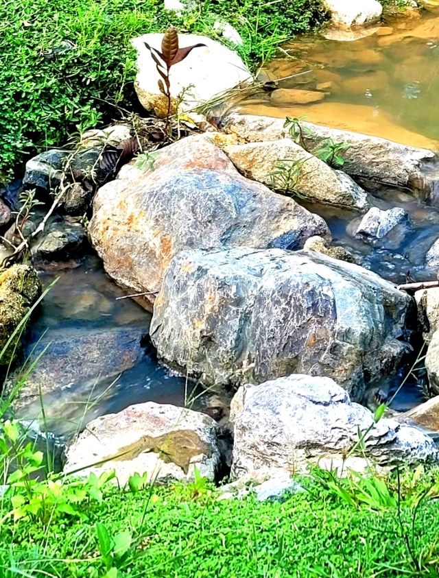 Nostalgic feels at Cascading creeks