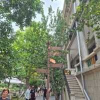 🚶‍♀️🚶‍♂️A slow stroll through Tianjin !