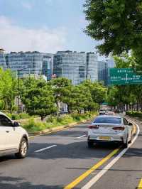 Seoul City Vibes in late June (Summer)