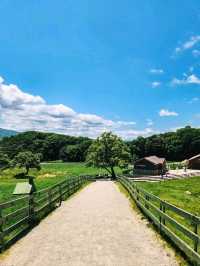 Chill Out With Sheep at Daegwallyeong Sheep Ranch