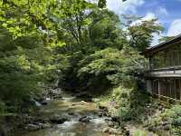 🌊【伊豆1日1夜體驗 | 大室山＋稻取溫泉旅館】