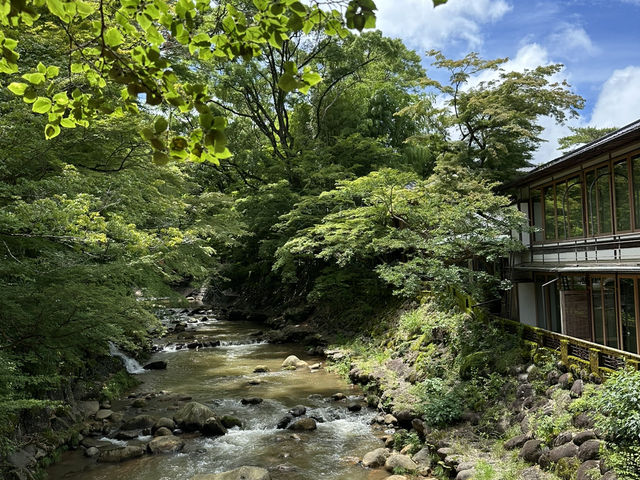 🌊【伊豆1日1夜體驗 | 大室山＋稻取溫泉旅館】