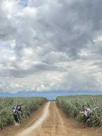 4D3N Bukidnon Trip