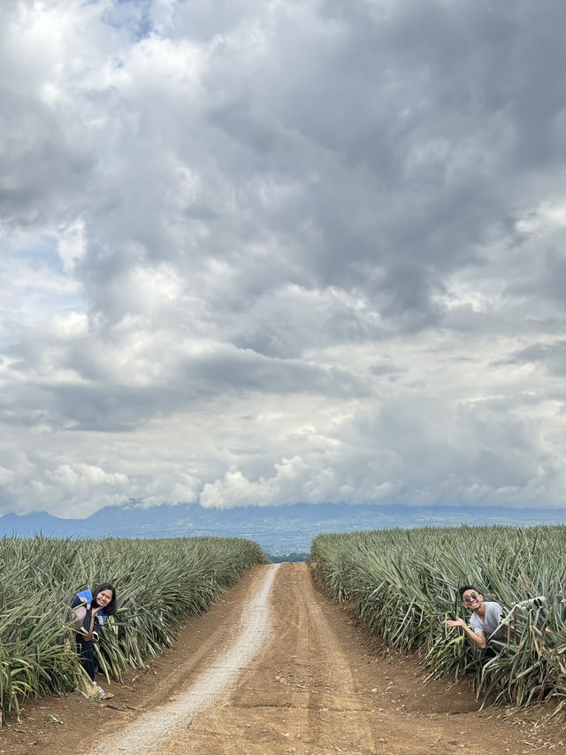 4D3N Bukidnon Trip