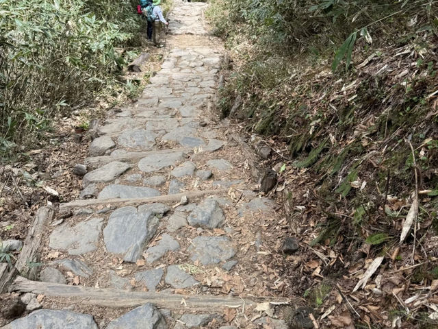Hiking in Oze: Witnessing the Mizubasho in Full Bloom! 🌸🌲