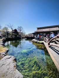 Day Trip Fuji Japan