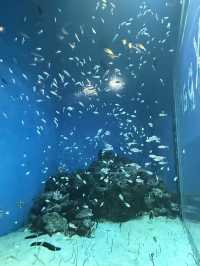 虛實交織的平行宇宙：桃園Xpark