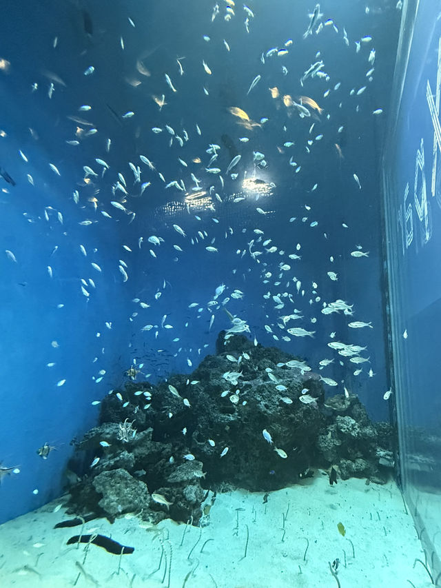 虛實交織的平行宇宙：桃園Xpark