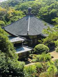 Zen & Gold: A Solo Journey to Kanazawa’s Hidden Jewel, Jinmu-ji Temple