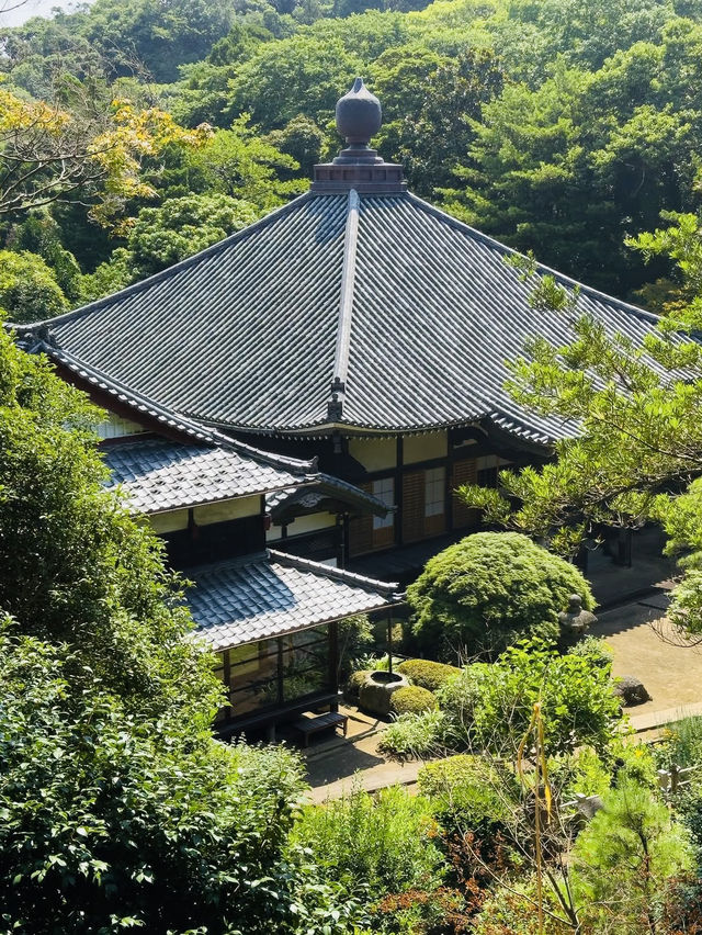 Zen & Gold: A Solo Journey to Kanazawa’s Hidden Jewel, Jinmu-ji Temple