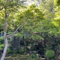 🗿🌿 The Great Buddha of Kamakura – Stillness in Bronze