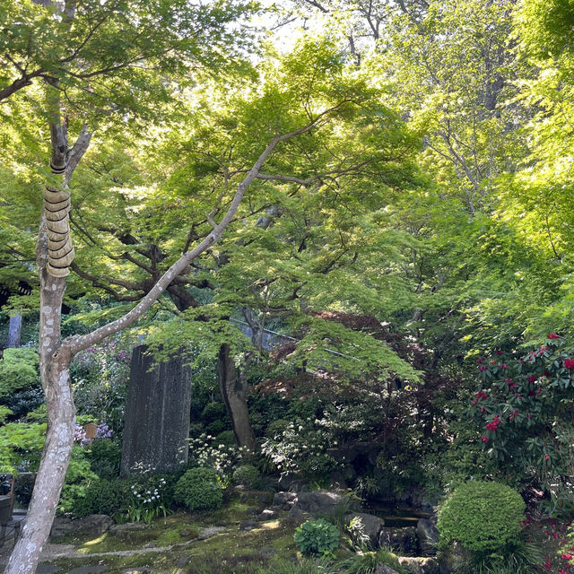 🗿🌿 The Great Buddha of Kamakura – Stillness in Bronze