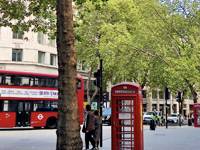 Summertime in London: Your Guide to a Vibrant Season! 🇬🇧☀️