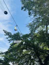 池上本門寺🇯🇵で500個の風鈴の音を聞く🎐⟡.·