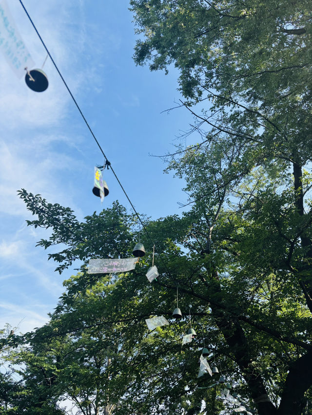 池上本門寺🇯🇵で500個の風鈴の音を聞く🎐⟡.·