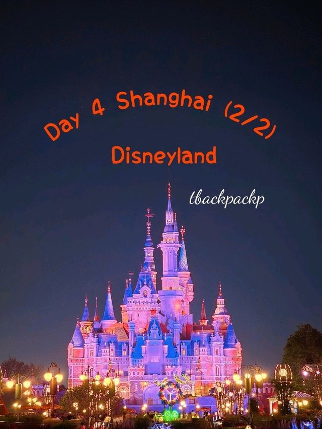 Disneyland อยู่กันจนสวนสนุกปิดกันเลย Day 4 📍🏰