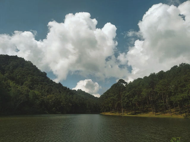 เที่ยวปางอุ๋ง แม่ฮ่องสอน🌳