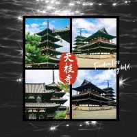 天桂寺•靜謐之美