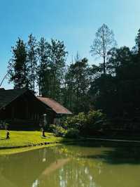 Pineyard Café – Rustic charm by the lake