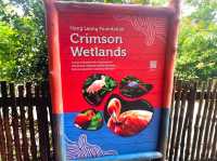 Splash into colors at Crimson Wetlands!