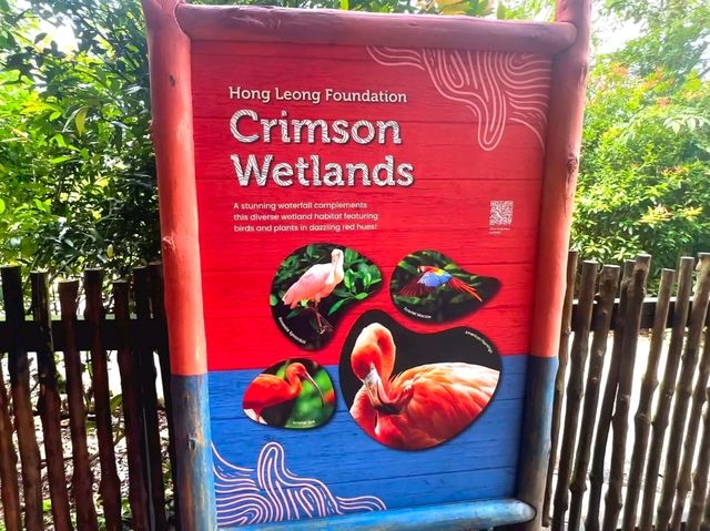 Splash into colors at Crimson Wetlands!