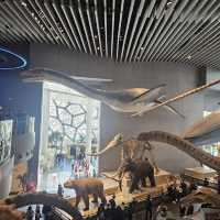 The Shanghai Natural History Museum