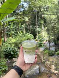 Proud คาเฟ่น่ารัก ณ แม่กำปอง ⛰️🌳🍃🌿☕️