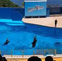 Ocean Park Hong Kong