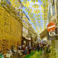 🌈 Umbrella Skies & Hidden Charms: A Colorful Day in Águeda
