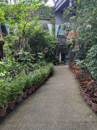 Wings of Wonder: Discover Entopia’s Living Paradise