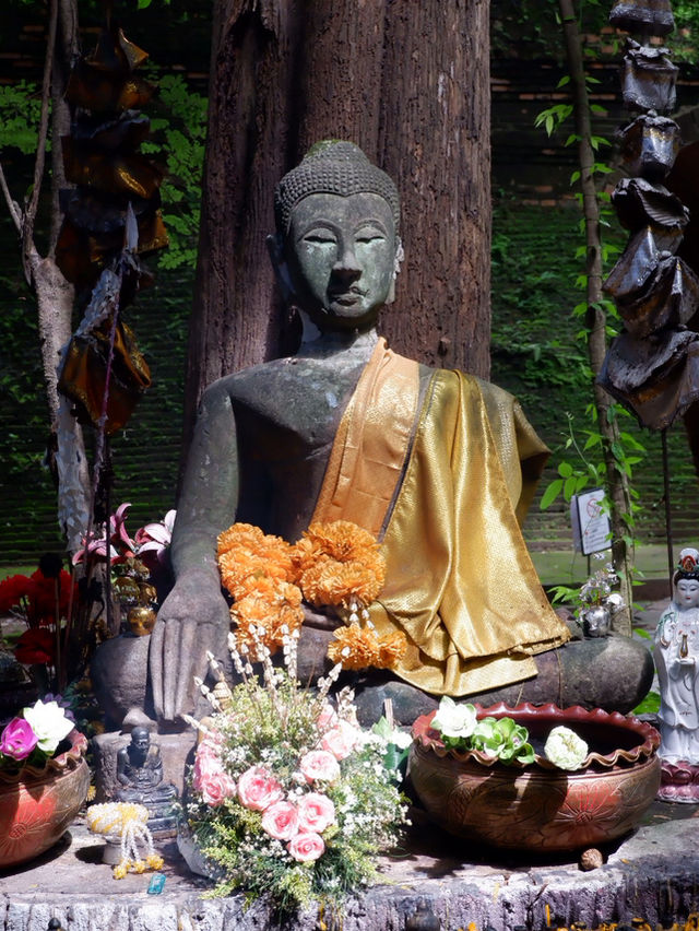 วัดอุโมงค์ (Wat Umong)