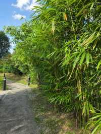 The magical dragon pond in Kong Meng San Temple complex