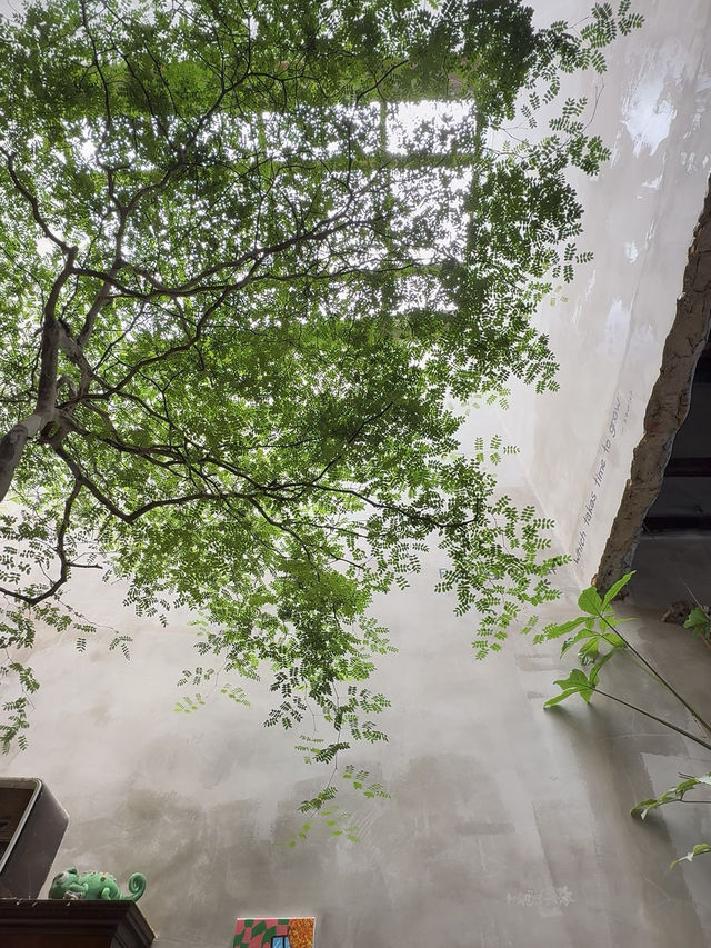 Rustic Vibes, Indoor Trees, and Cat Company: Grind.jb Café in Taman Sentosa