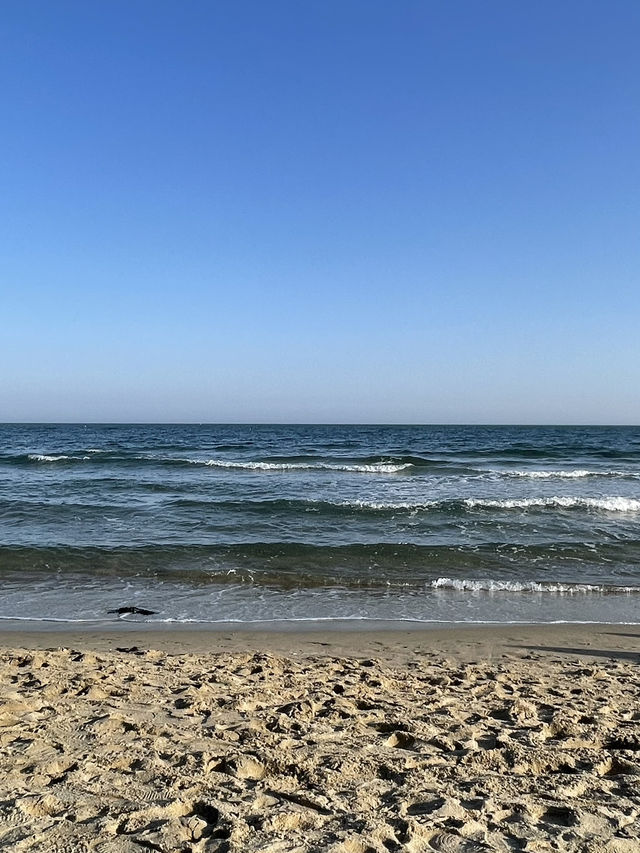 나홀로 1박 2일 부산여행🌊