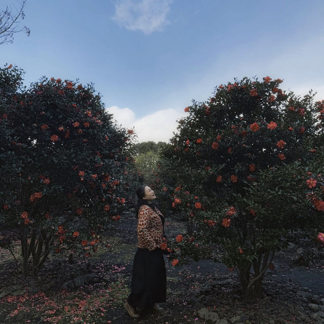 애기 동백나무 숲을 만날 수 있는 ”돌낭예술원“ 🌺