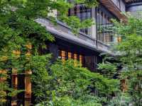 【西本願寺】荘厳な空間で心静まる🙏浄土真宗の聖地で歴史と向き合う旅