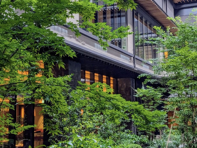 【西本願寺】荘厳な空間で心静まる🙏浄土真宗の聖地で歴史と向き合う旅